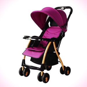 Baobaohao Baby Portable and Lightweight Baby Stroller A1